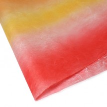 빨강색(무지개지)