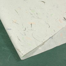 흰색/혼합잎(상록수지)